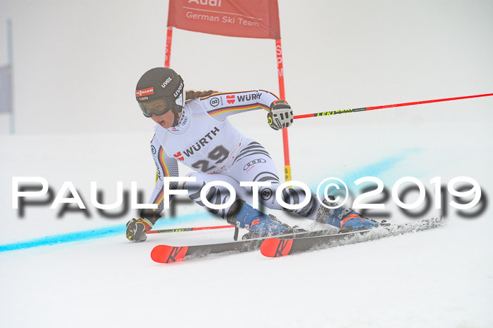 FIS + NJC Riesenslalom Damen + Herren 02.02.2019