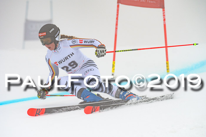 FIS + NJC Riesenslalom Damen + Herren 02.02.2019