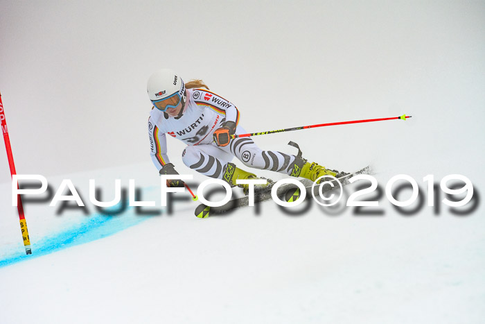 FIS + NJC Riesenslalom Damen + Herren 02.02.2019