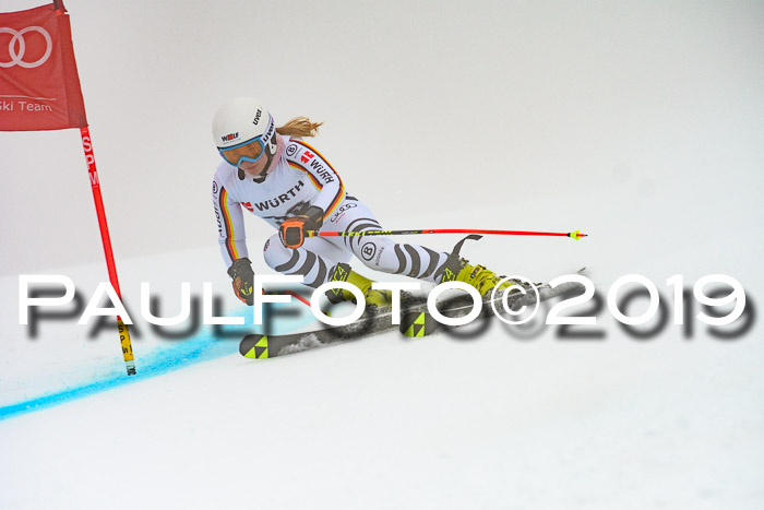 FIS + NJC Riesenslalom Damen + Herren 02.02.2019