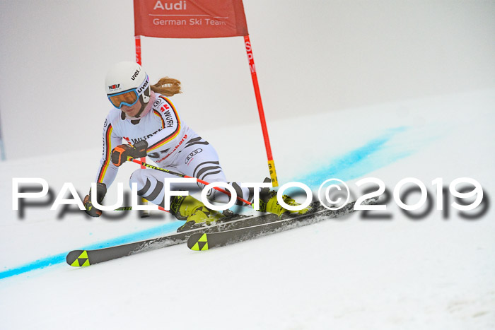 FIS + NJC Riesenslalom Damen + Herren 02.02.2019