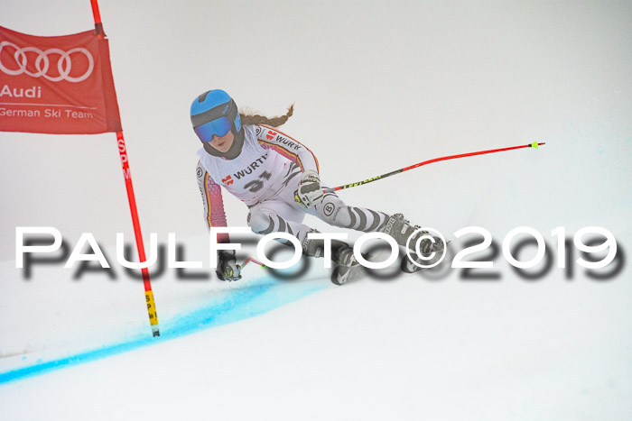 FIS + NJC Riesenslalom Damen + Herren 02.02.2019