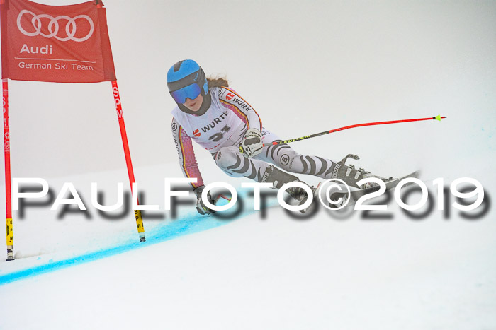 FIS + NJC Riesenslalom Damen + Herren 02.02.2019