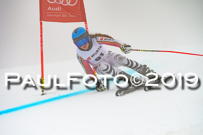 FIS + NJC Riesenslalom Damen + Herren 02.02.2019