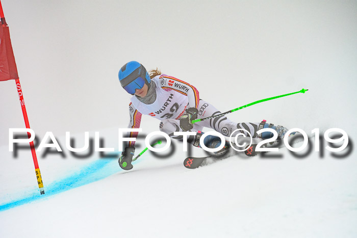 FIS + NJC Riesenslalom Damen + Herren 02.02.2019