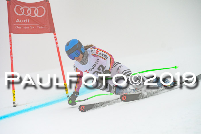 FIS + NJC Riesenslalom Damen + Herren 02.02.2019