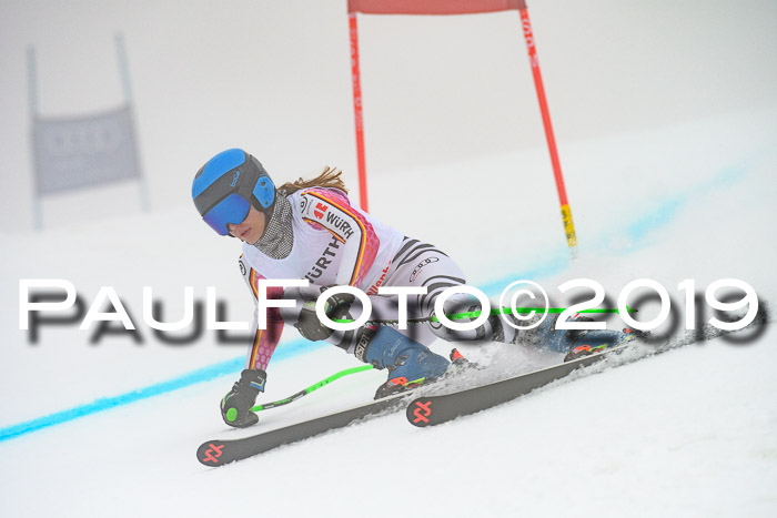 FIS + NJC Riesenslalom Damen + Herren 02.02.2019