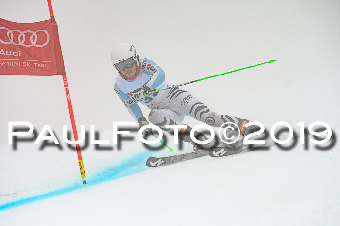 FIS + NJC Riesenslalom Damen + Herren 02.02.2019