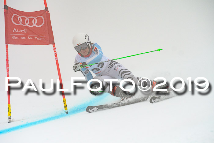 FIS + NJC Riesenslalom Damen + Herren 02.02.2019