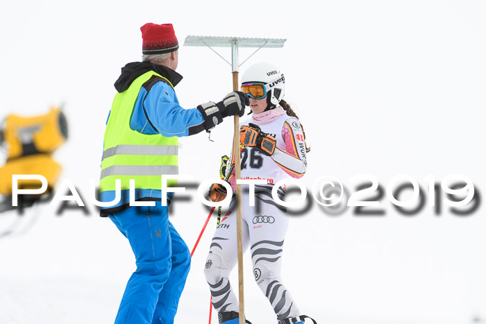 FIS + NJC Riesenslalom Damen + Herren 02.02.2019