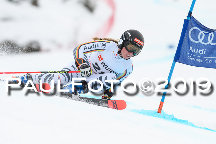 FIS + NJC Riesenslalom Damen + Herren 02.02.2019