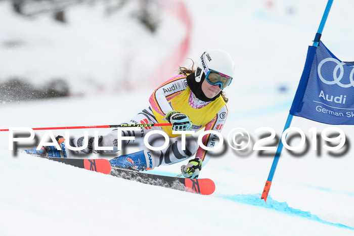 FIS + NJC Riesenslalom Damen + Herren 02.02.2019