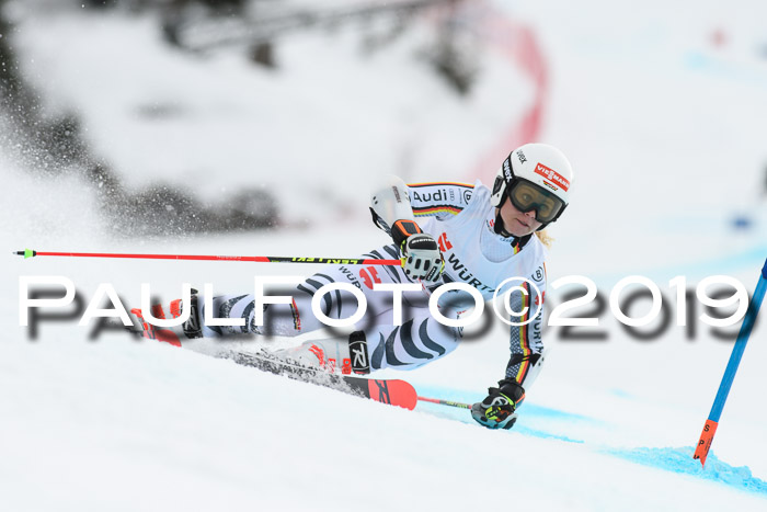 FIS + NJC Riesenslalom Damen + Herren 02.02.2019