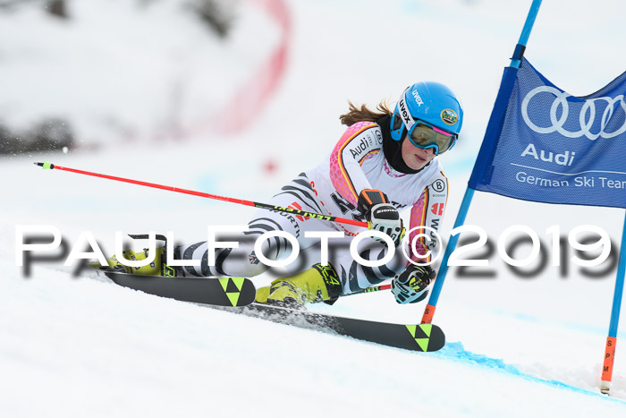 FIS + NJC Riesenslalom Damen + Herren 02.02.2019