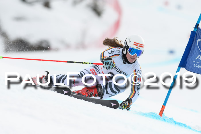 FIS + NJC Riesenslalom Damen + Herren 02.02.2019