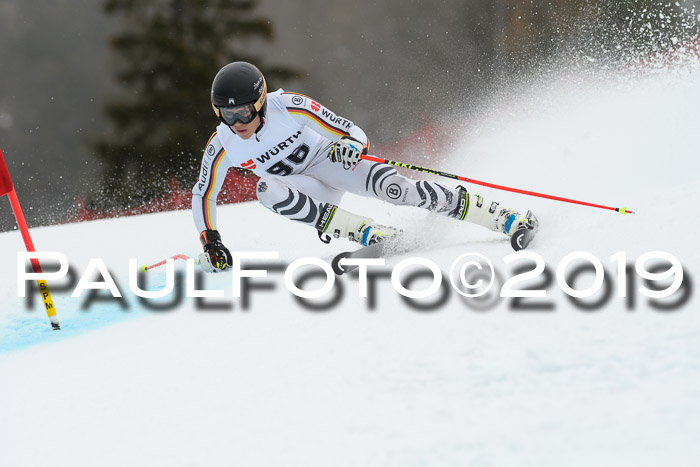 FIS + NJC Riesenslalom Damen + Herren 02.02.2019