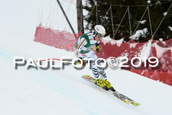 NJC + FIS, Super-G, Herren, 06.02.2019