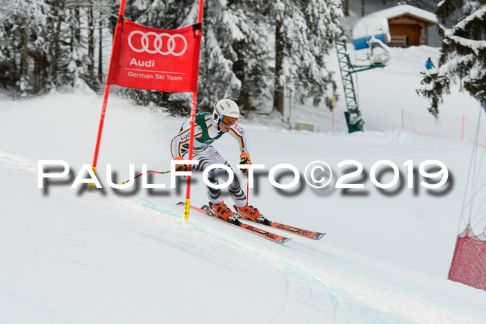 NJC + FIS, Super-G, Herren, 06.02.2019