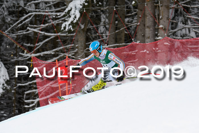 NJC + FIS, Super-G, Herren, 06.02.2019