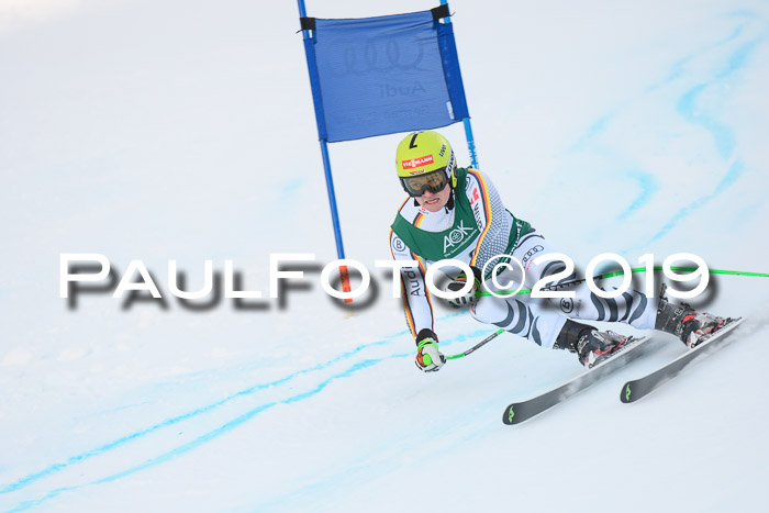 NJC + FIS, Super-G, Herren, 06.02.2019