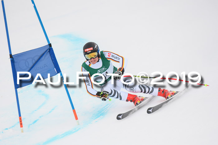 NJC + FIS, Super-G, Herren, 06.02.2019