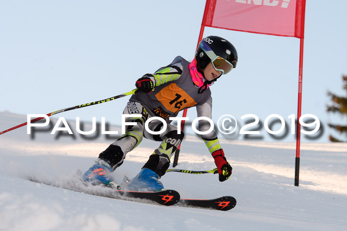 Ziener Kids Cross U12 + 5. Reischmann Cup