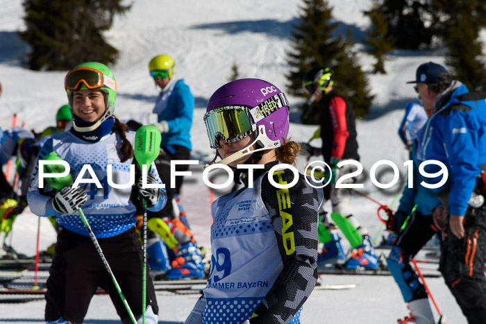 SVM U14/U16 Slalom 17.02.2019