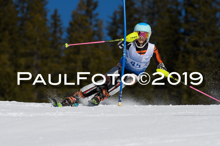 SVM U14/U16 Slalom 17.02.2019