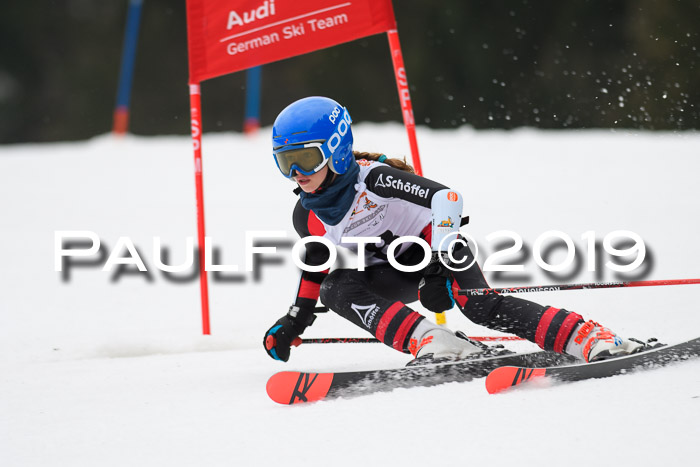 DSV Deutscher Schülercup U12 Finale 2019, Race Cross 02.03.2019