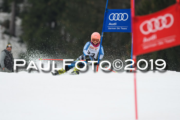 DSV Deutscher Schülercup U12 Finale 2019, Race Cross 02.03.2019