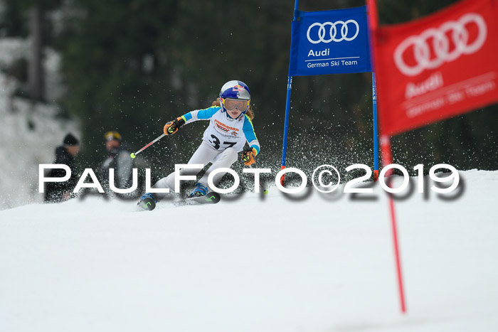 DSV Deutscher Schülercup U12 Finale 2019, Race Cross 02.03.2019