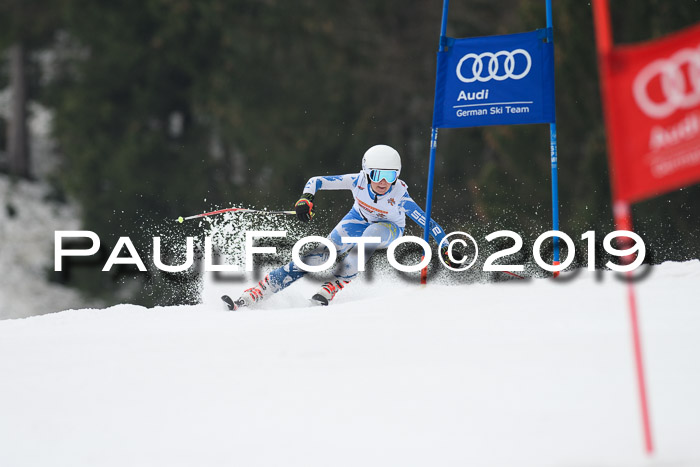 DSV Deutscher Schülercup U12 Finale 2019, Race Cross 02.03.2019