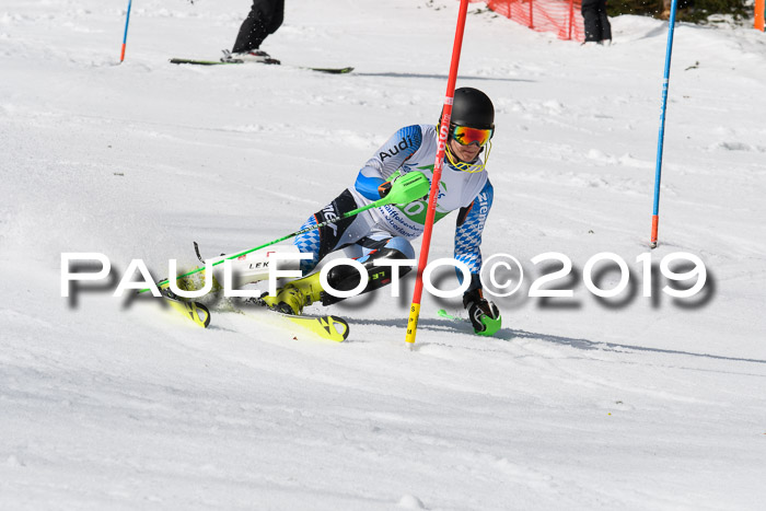 FIS Slalom Damen + NJR Herren, Lenggries 03.03.2019