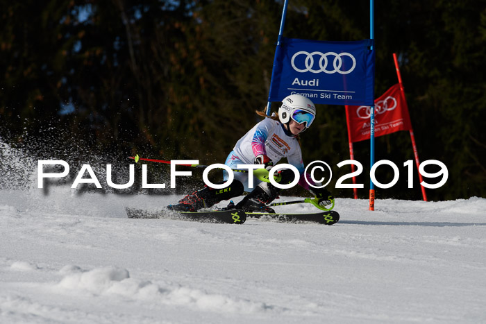 DSV Deutscher Schülercup U12 Finale 2019, Slalom Cross 03.03.2019