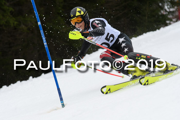 DSV Schülercup U14 Finale Slalom 09.03.2019
