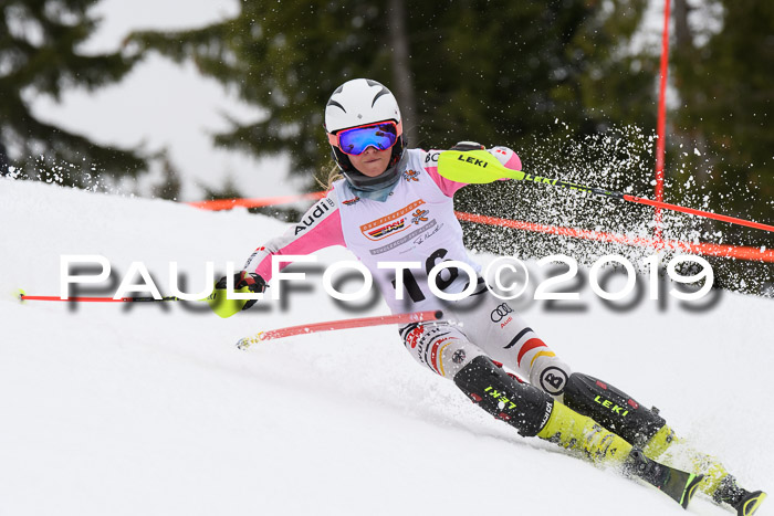 DSV Schülercup U14 Finale Slalom 09.03.2019