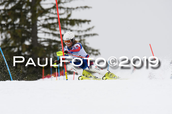 DSV Schülercup U14 Finale Slalom 09.03.2019