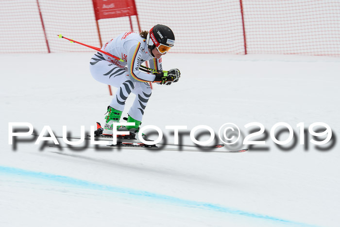 FIS, Int. Dt. Meisterschaft Abfahrt, Training, Damen + Herren, 19.03.2019