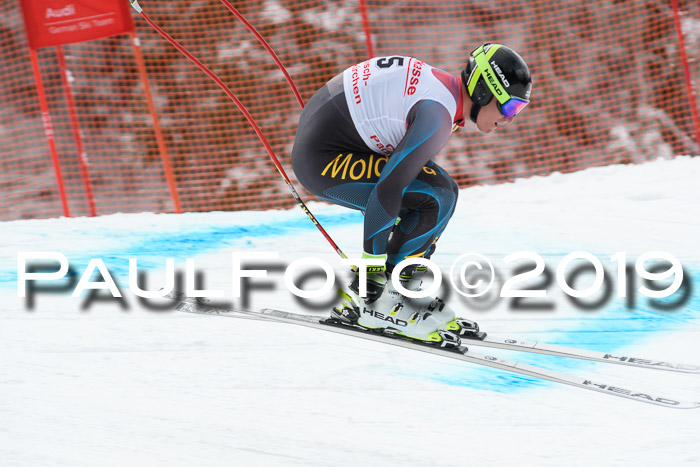 FIS, Int. Dt. Meisterschaft Abfahrt, Training, Damen + Herren, 19.03.2019