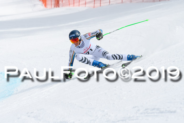 FIS, Int. Dt. Meisterschaft Abfahrt, Training, Damen + Herren, 19.03.2019