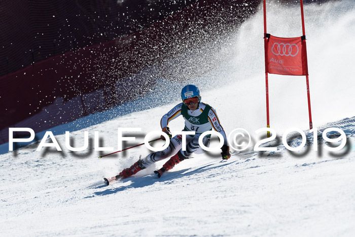 NC Riesenslalom Herren 23.03.2019