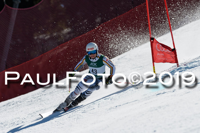 NC Riesenslalom Herren 23.03.2019