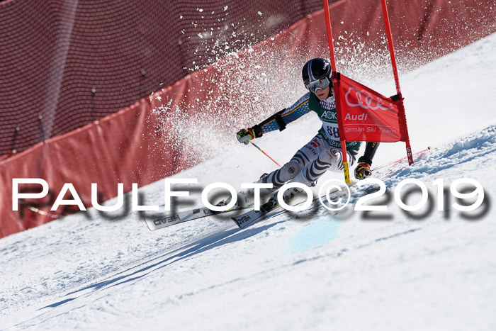 NC Riesenslalom Herren 23.03.2019