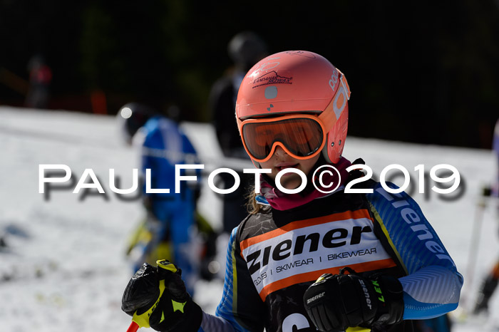 Ziener Cup WF,Finale, Quali + PSL, 30.03.2019