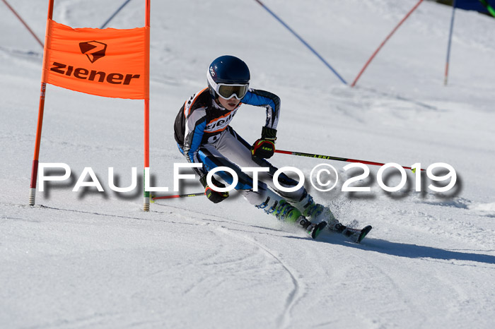 Ziener Cup WF,Finale, Quali + PSL, 30.03.2019