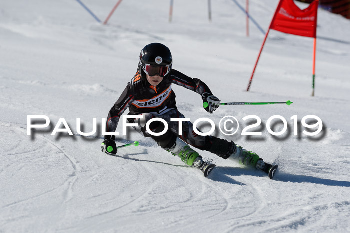 Ziener Cup WF,Finale, Quali + PSL, 30.03.2019