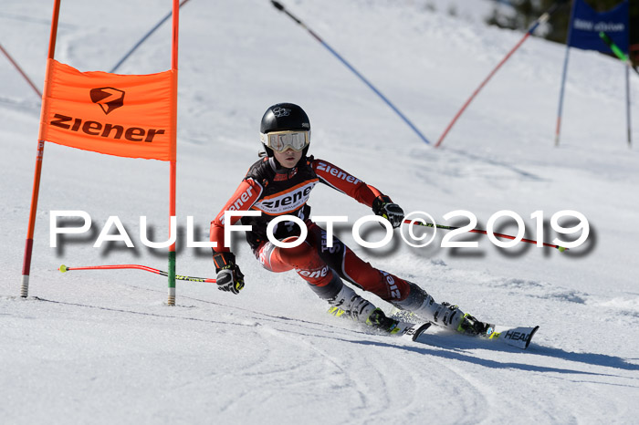 Ziener Cup WF,Finale, Quali + PSL, 30.03.2019