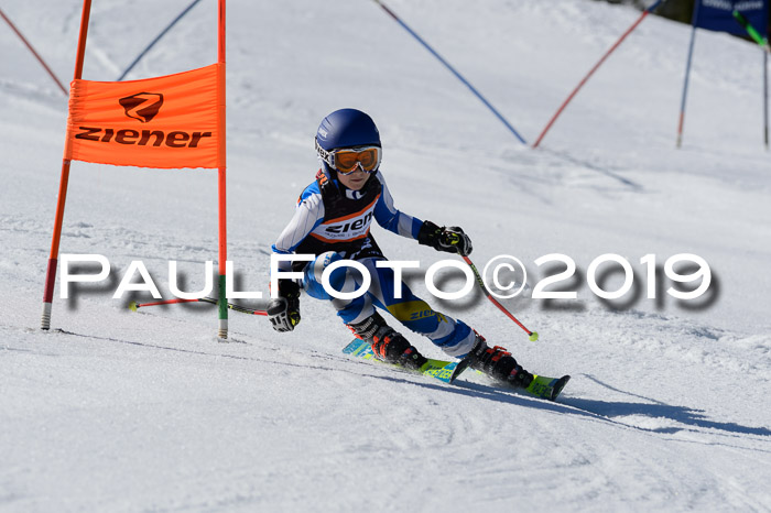 Ziener Cup WF,Finale, Quali + PSL, 30.03.2019
