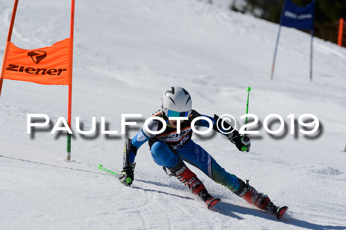 Ziener Cup WF,Finale, Quali + PSL, 30.03.2019