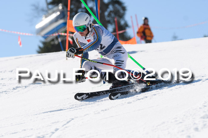 BZB Cup Finale, Quali + Parallelslalom, 31.03.2019